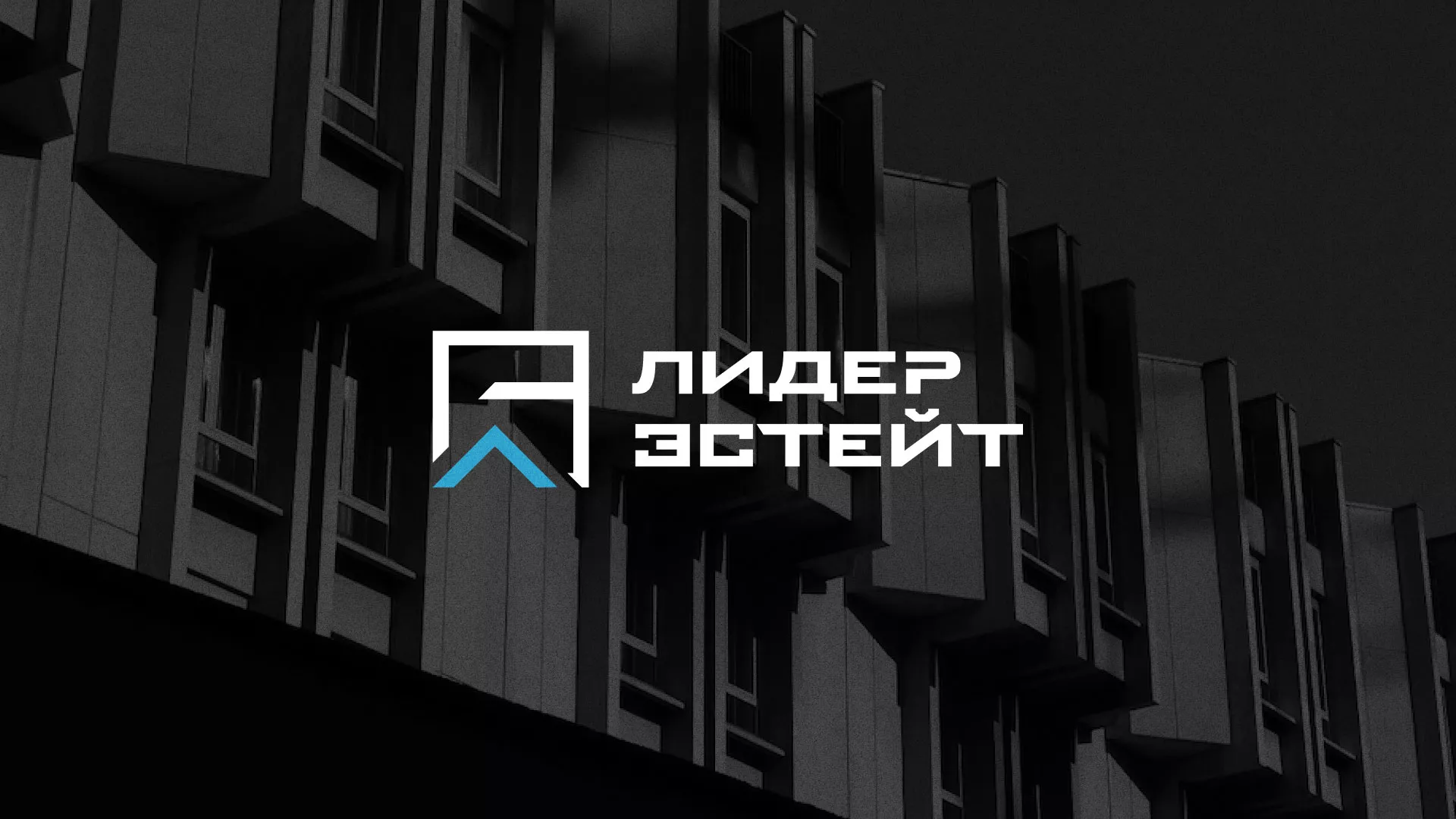 Разработка логотипа агентства недвижимости «Лидер Эстейт» в Красном Куте