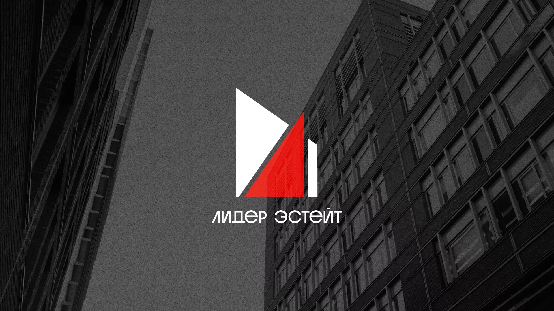 Сделали логотип для агентства недвижимости «Лидер Эстейт» в Красном Куте